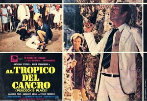 Постер: (Тропик Рака, 1972 - вся информация о фильме на FilmNavi.ru
