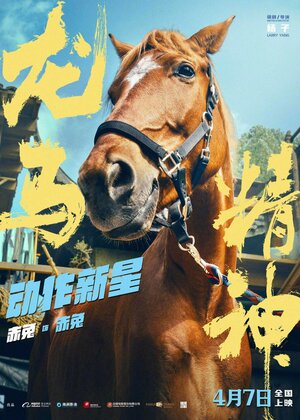 Постер: (Кунг-фу жеребец, 2023 - вся информация о фильме на FilmNavi.ru