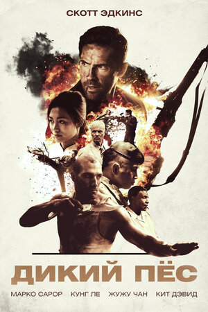 Постер: (Дикий пёс, 2017 - вся информация о фильме на FilmNavi.ru