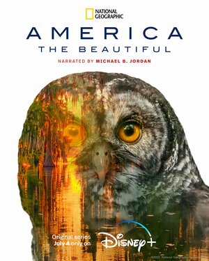 Постер: (America the Beautiful, 2022 - вся информация о сериале на FilmNavi.ru