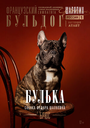 Постер: (Шаляпин, 2022 - вся информация о сериале на FilmNavi.ru