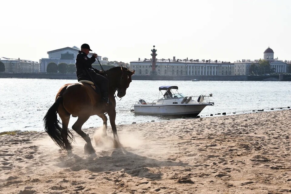 Чингачгук (2022)