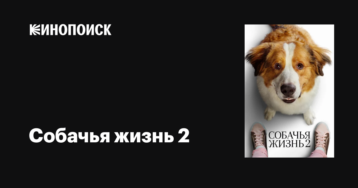 Собачья жизнь 2 фильм, 2019, дата выхода трейлеры актеры отзывы ...