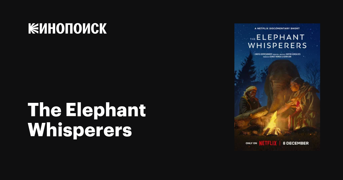The Elephant Whisperers (2022) — трейлеры, даты премьер — Кинопоиск