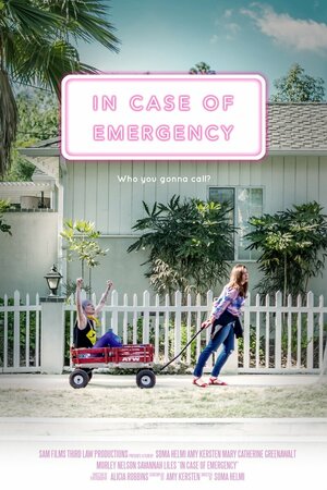 Постер: (In Case of Emergency, 2018 - вся информация о фильме на FilmNavi.ru
