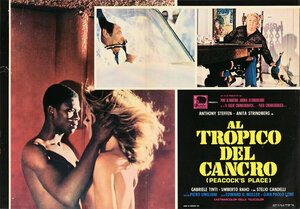 Постер: (Тропик Рака, 1972 - вся информация о фильме на FilmNavi.ru