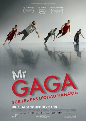 Постер: (Мистер Гага, 2015 - вся информация о фильме на FilmNavi.ru