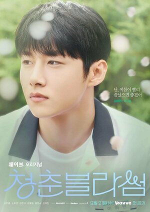 Постер: (Расцвет молодости, 2022 - вся информация о сериале на FilmNavi.ru