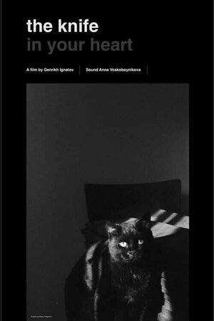 Постер: (Нож в твоем сердце, 2022 - вся информация о фильме на FilmNavi.ru