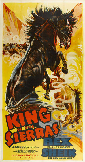 Постер: (King of the Sierras, 1938 - вся информация о фильме на FilmNavi.ru