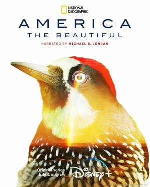 Постер: (America the Beautiful, 2022 - вся информация о сериале на FilmNavi.ru