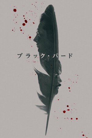 Постер: (Чёрная птица, 2022 - вся информация о фильме на FilmNavi.ru