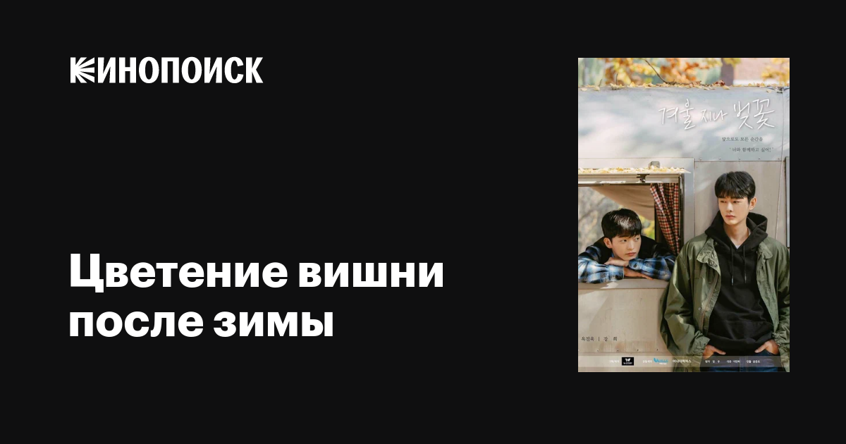 Цветение вишни после зимы (сериал, 1 сезон, все серии), 2022 — описание ...