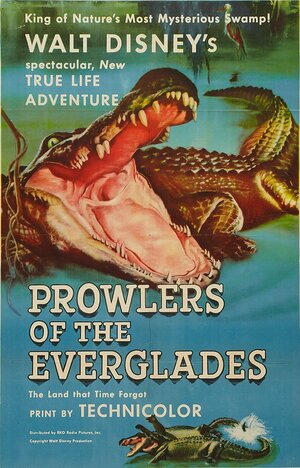 Постер: (Prowlers of the Everglades, 1953 - вся информация о фильме на FilmNavi.ru