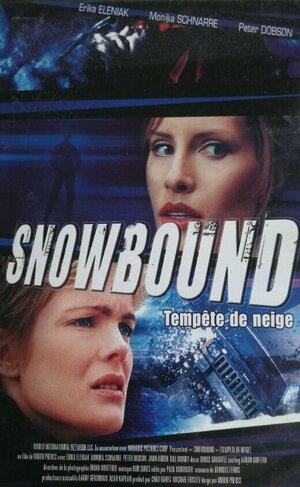 Постер: (Занесенный снегом, 2001 - вся информация о фильме на FilmNavi.ru