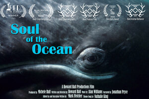 Постер: (Душа океана, 2022 - вся информация о фильме на FilmNavi.ru