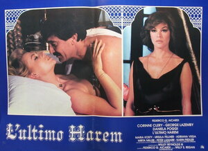 Постер: (Последний гарем, 1981 - вся информация о фильме на FilmNavi.ru