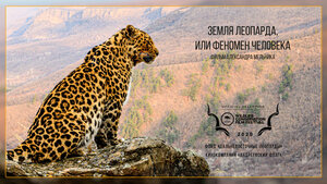Постер: (Земля леопарда, или Феномен человека, 2020 - вся информация о фильме на FilmNavi.ru