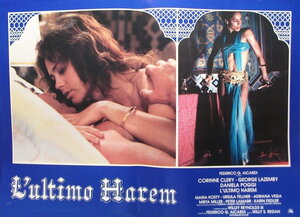 Постер: (Последний гарем, 1981 - вся информация о фильме на FilmNavi.ru