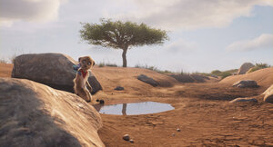 Тафити. Приключения на краю света кадр 6 онлайн-кинотеатр Эмбликс