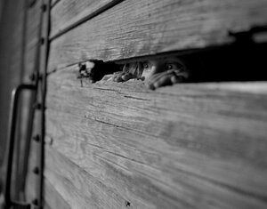 Эвакуация кадр 1 онлайн-кинотеатр Эмбликс