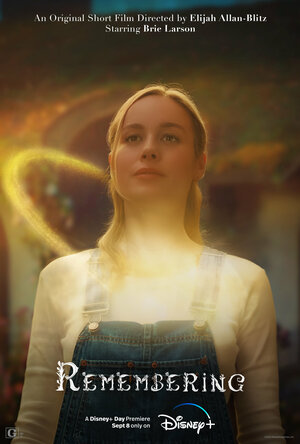 Постер: (Remembering, 2022 - вся информация о фильме на FilmNavi.ru