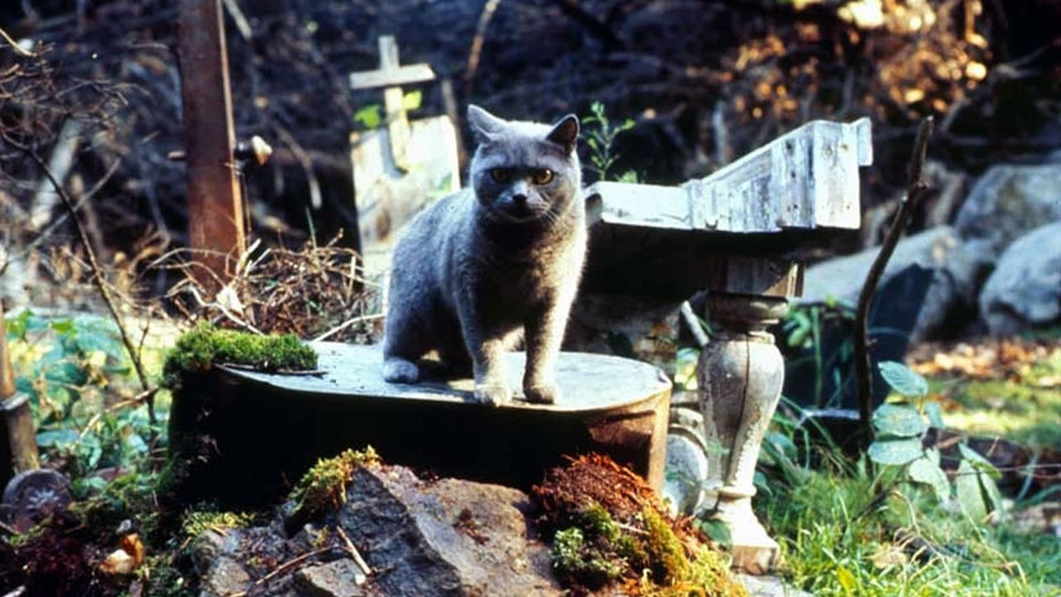 «Кладбище домашних животных»