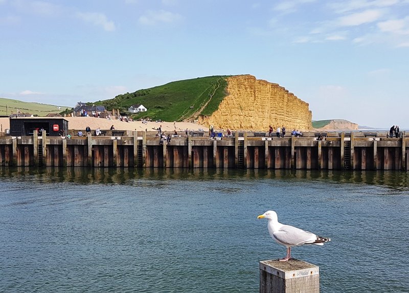 Утесы Бродчерча: По местам съемок «Убийства на пляже» — Статьи на ...