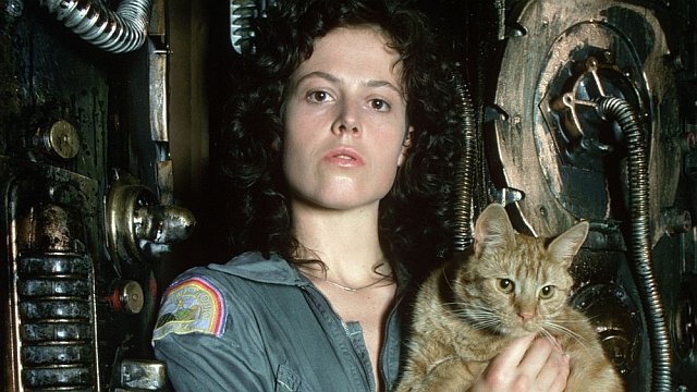 Жезөкшеге қалың жұрт есіңе түседі