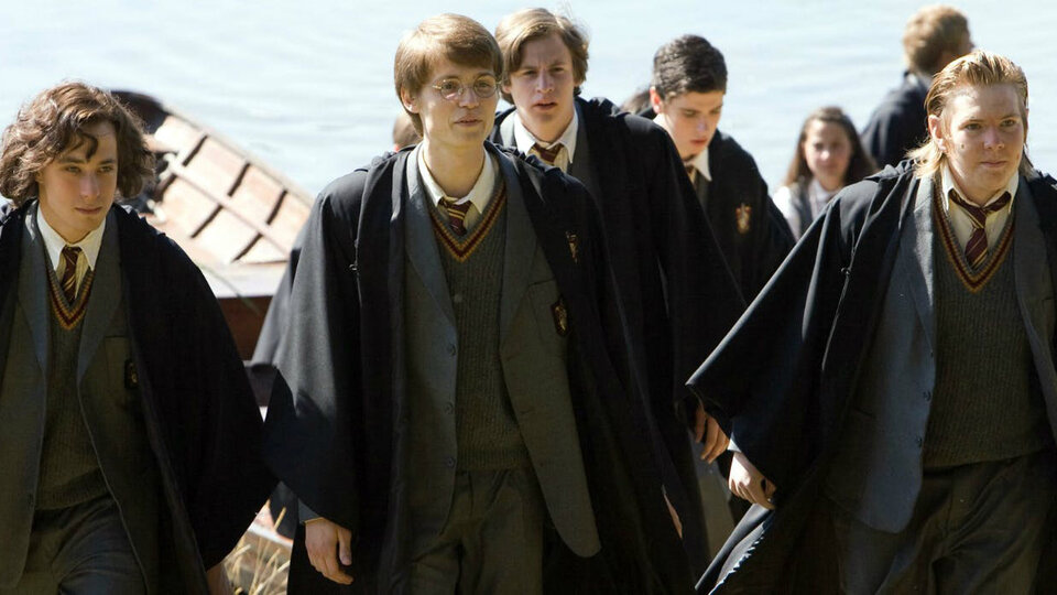 Мародеры и Почти Безголовый Ник: 10 возможных сериалов по «Гарри ...