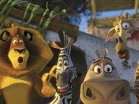 DreamWorks раздумывает над «Кунг-фу пандой 2» и «Мадагаскаром 3»