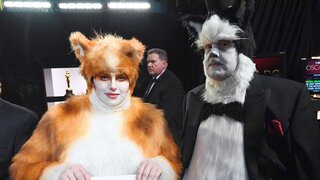 Создатели визуальных эффектов раскритиковали «Оскар» за шутку про «Кошек»