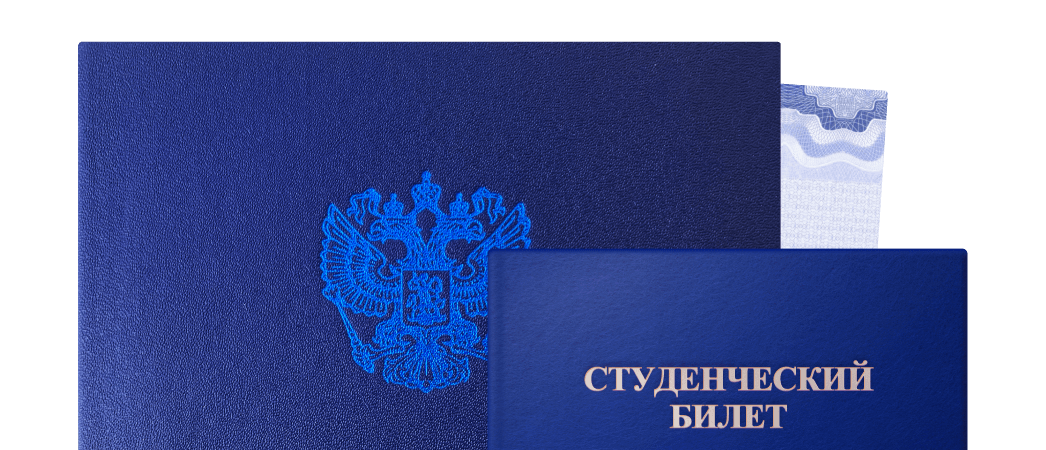 Высшее образование в Яндекс Практикуме: программы, дипломы ...