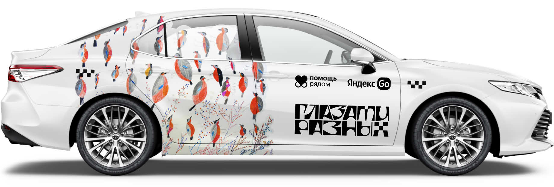 Глазами разных