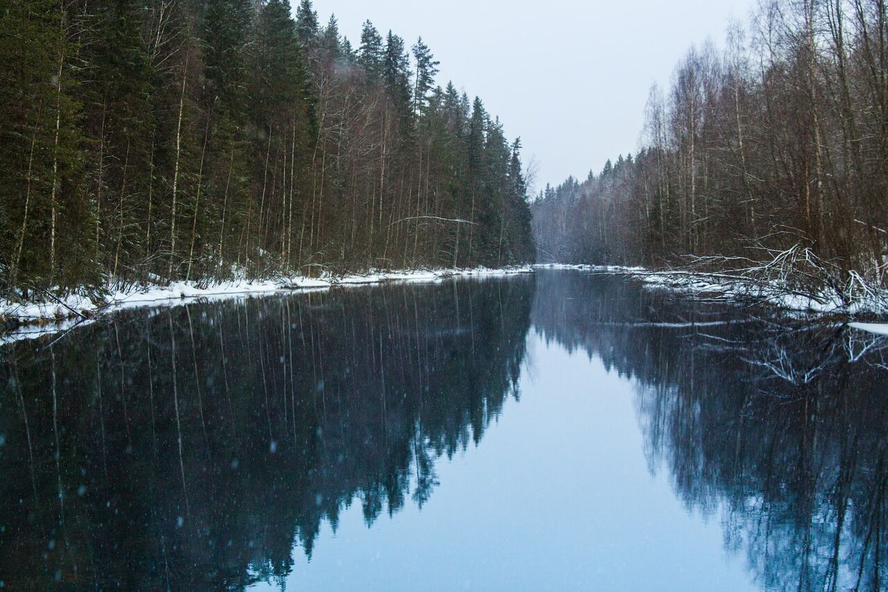 Суна