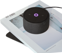 Станция Мини