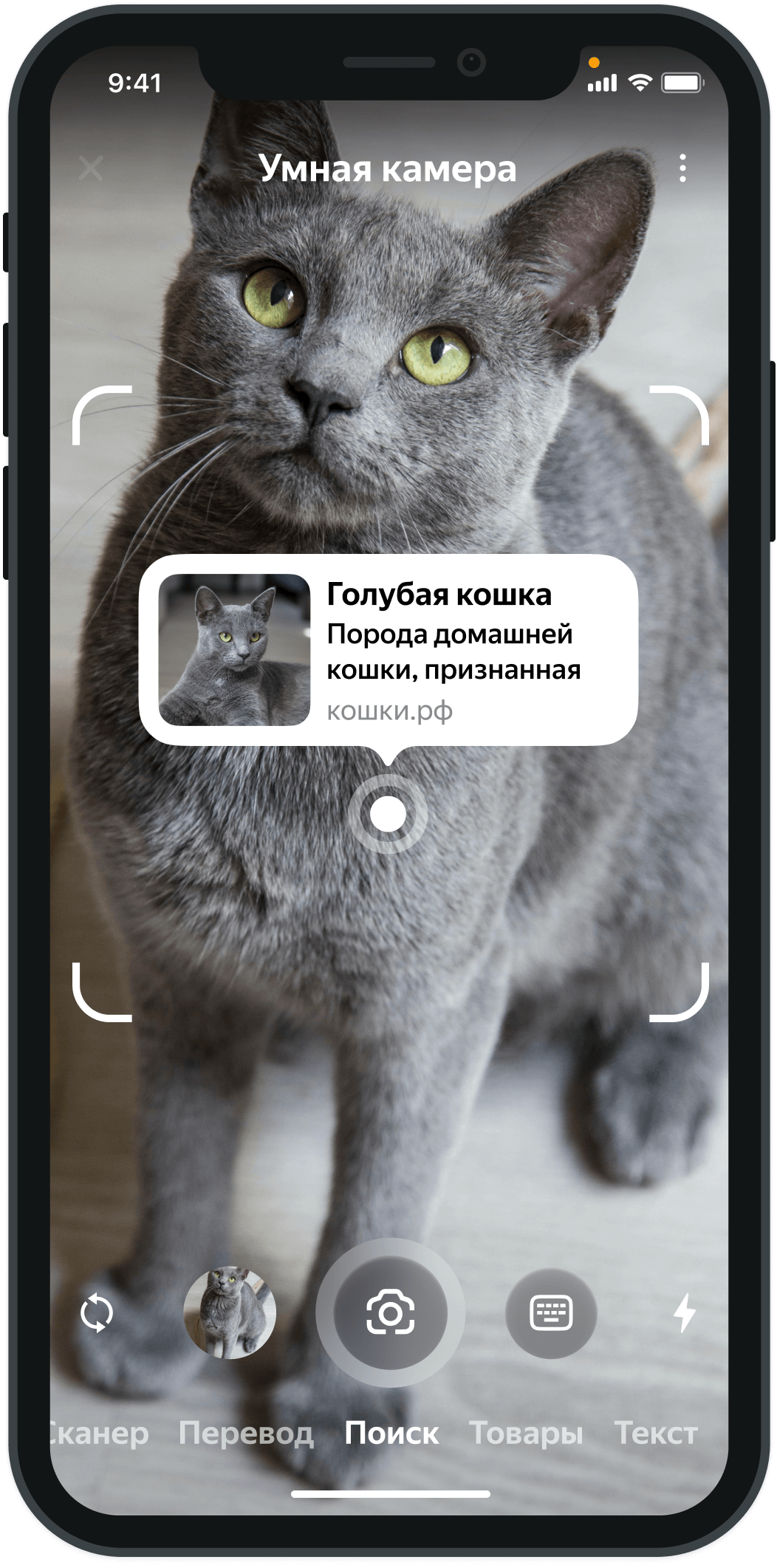 Умная камера в приложении Яндекс — на Android и iOS