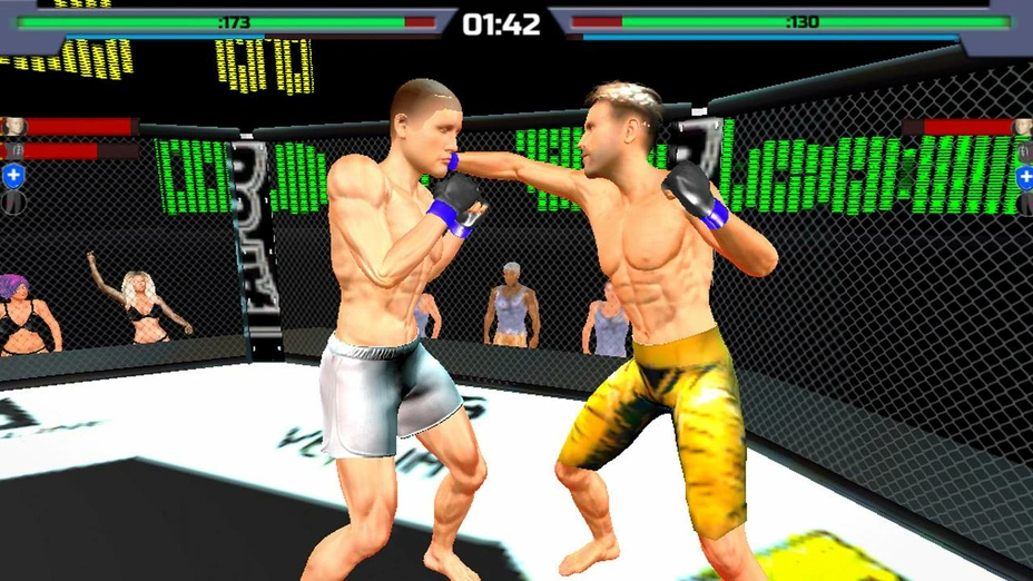 MMA fighting 3D