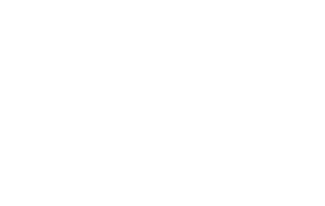 LegacyZ