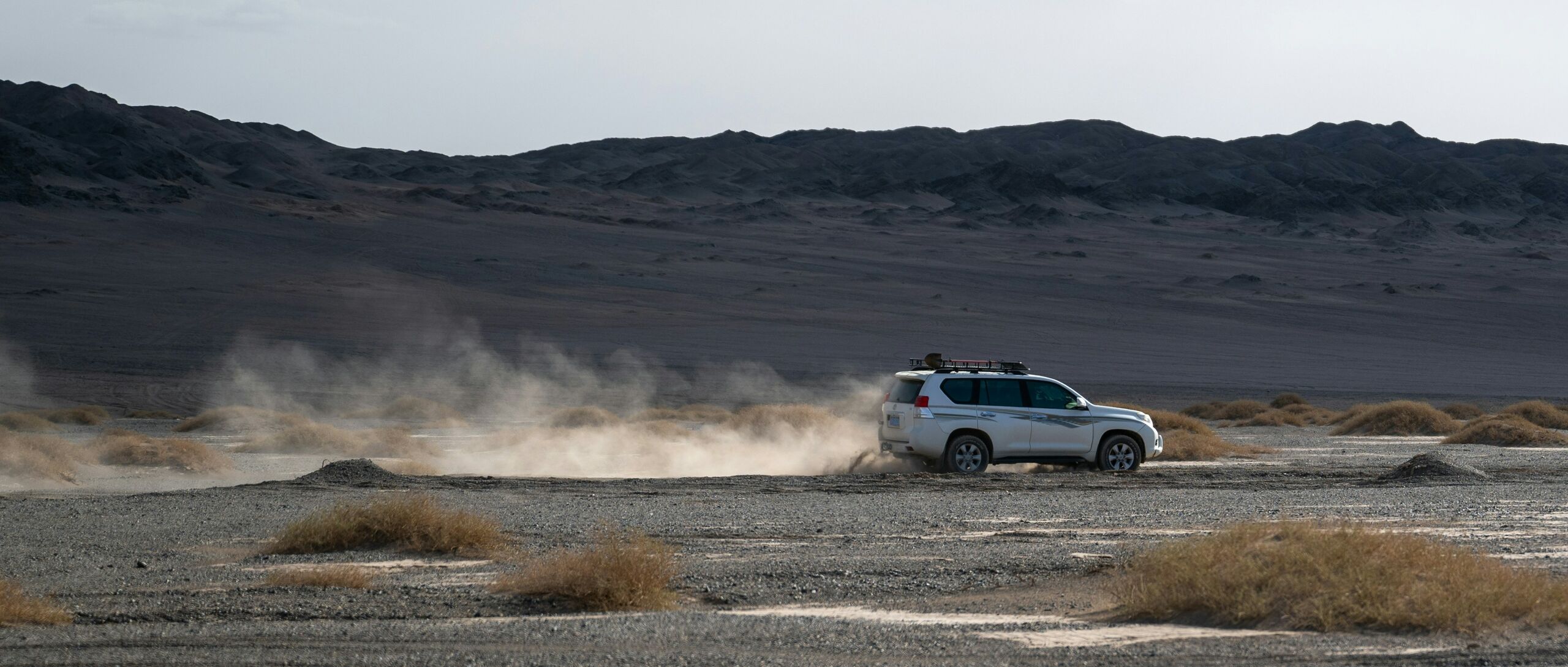 Dubai Black Points: Checking, Penalties & More