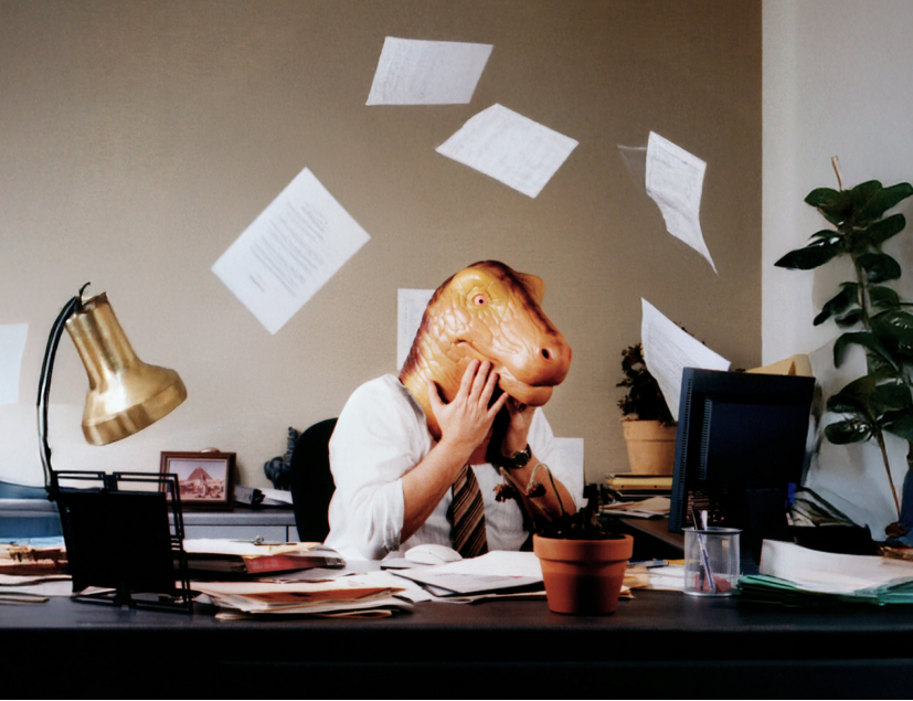 Дино в шоке от бумаг