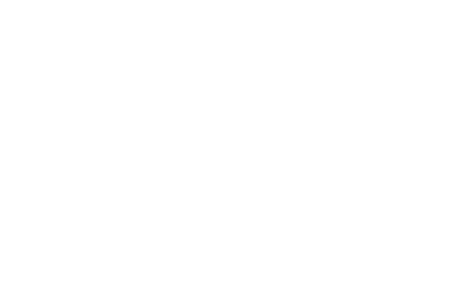 Тот Самый Гном