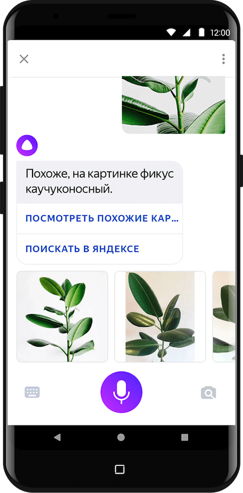 Поиск Похожих Фото Яндекс