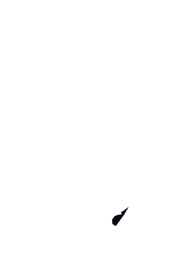 Летние школы Яндекса