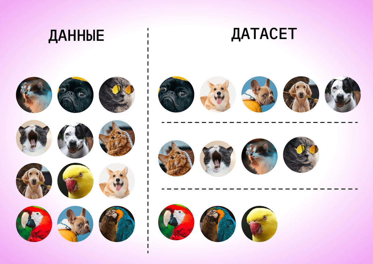 Примеры датасетов для анализа данных Датасет dataset