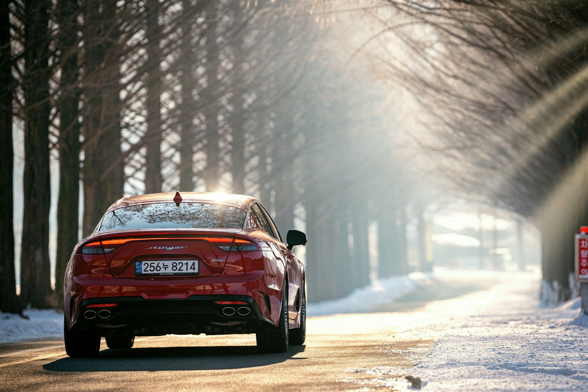 What type of rental car should you choose?
