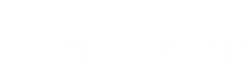 partner image
