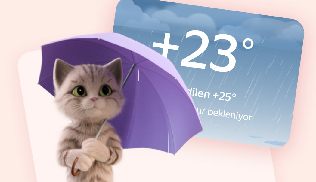 Hava Durumu