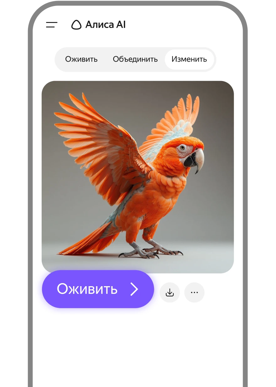 story image
