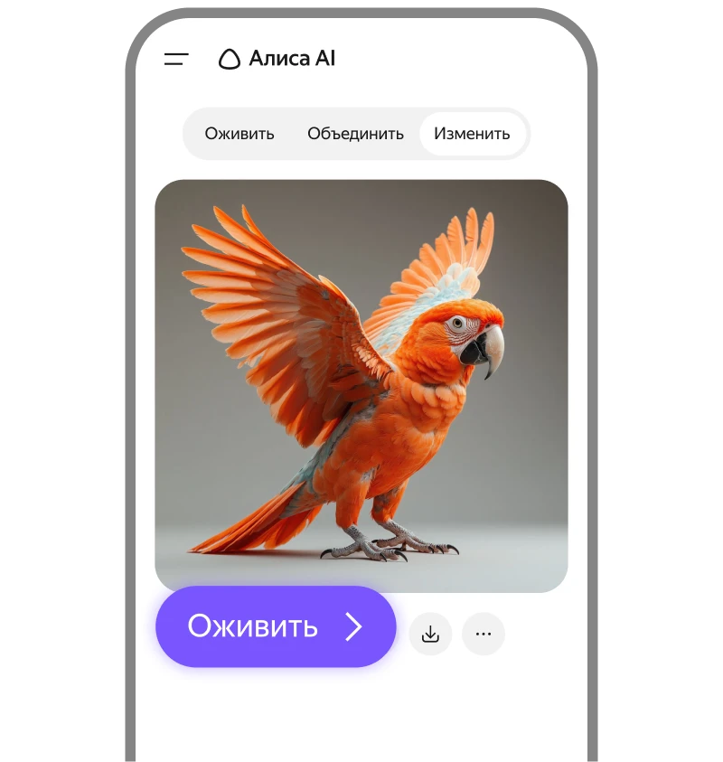story image